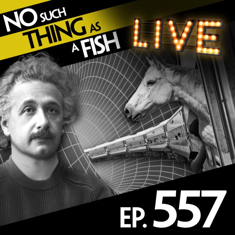 557: No Such Thing As A Sweater For Einstein